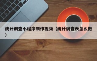 保定统计调查小程序制作视频（统计调查表怎么做）